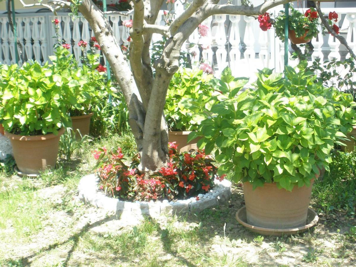 Apartmani I Sobe Mara Palit Exterior foto